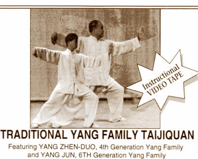 Yang Jun - wirklich "Yang Family Tai Chi Chuan Traditional Form "?